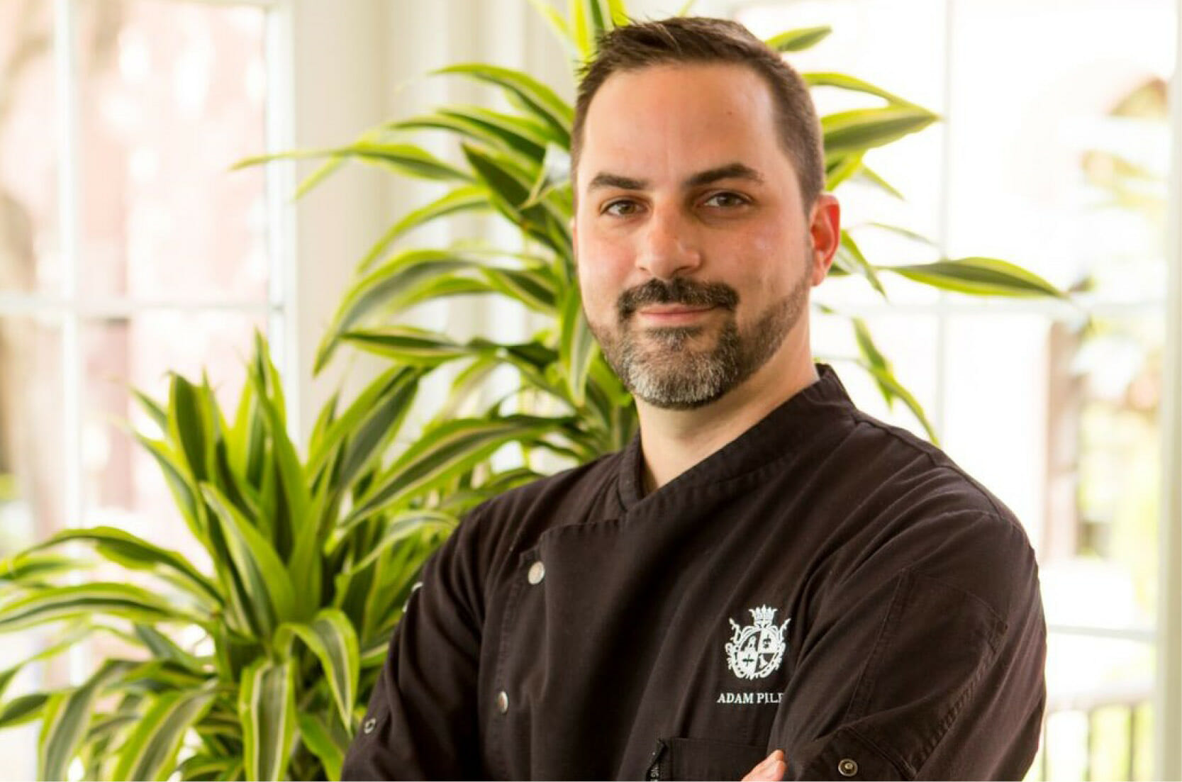 Read more about the article Tastes of Tuscany