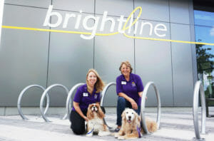 Read more about the article Therapy Dogs to Bring Joy and Stress Relief to Brightline Riders