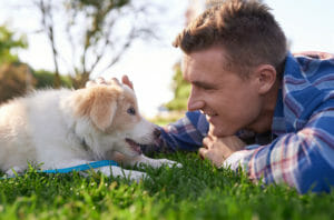 Read more about the article Wise Advice for Pet Owners