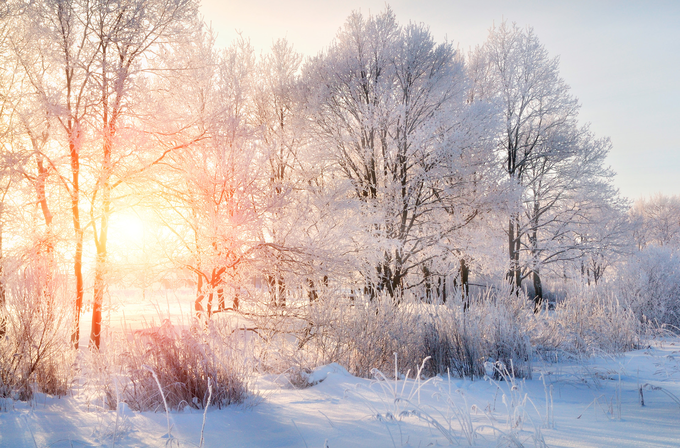 Read more about the article The Winter of Our Contentment