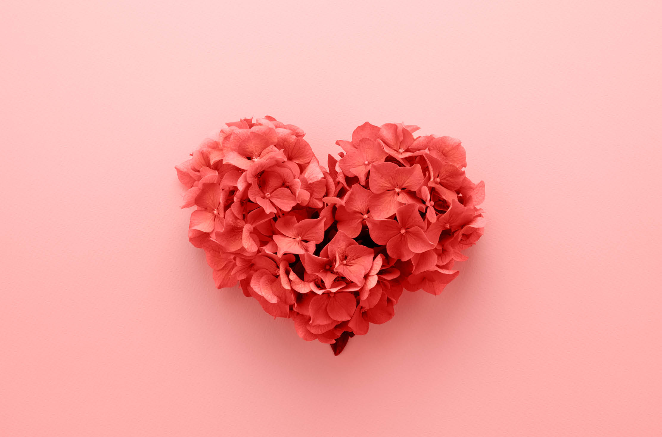 Read more about the article What is Love?