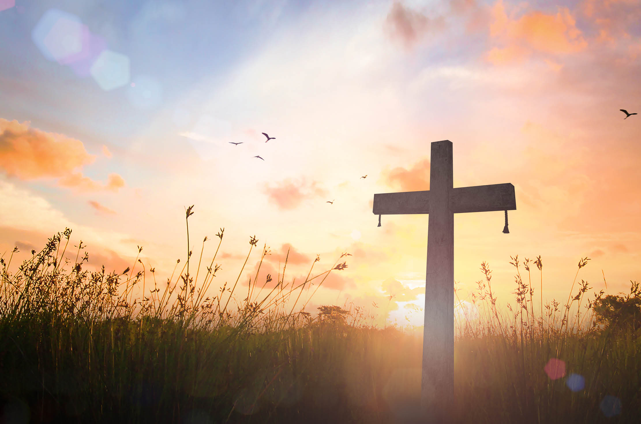 Read more about the article Hey “Mary,” Did You Know?