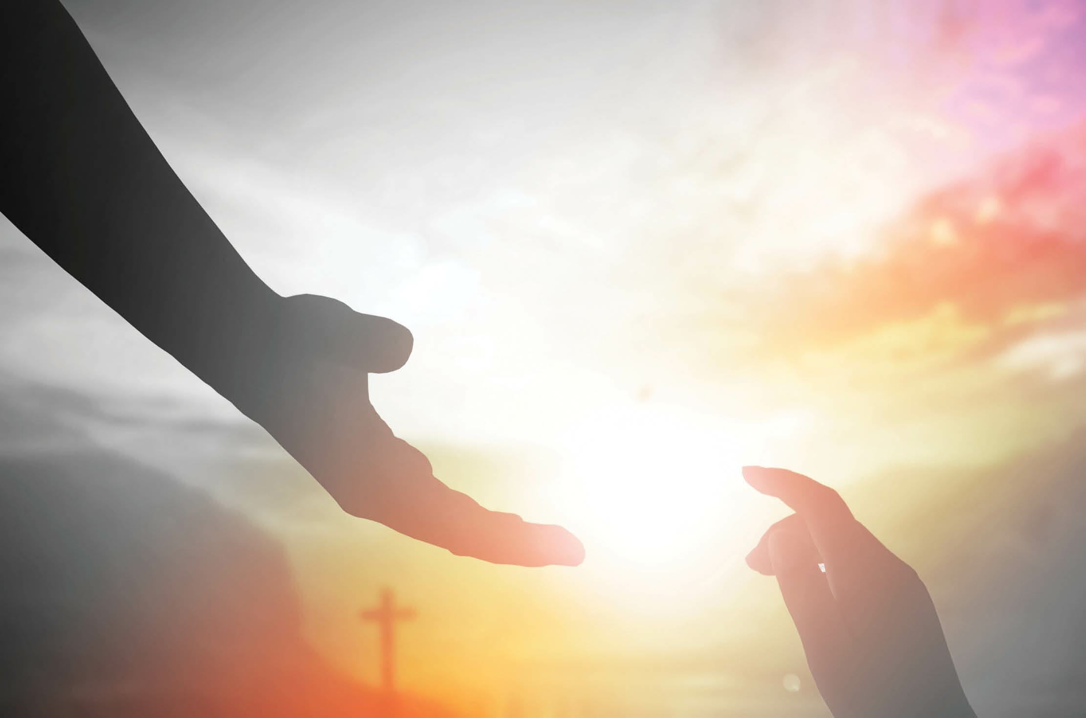 Read more about the article We Are One