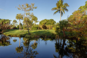 Read more about the article Mounts Botanical Garden Extends Open Hours Most Days and Weekends