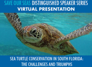 Read more about the article Save Our Seas Distinguished Speaker Series
