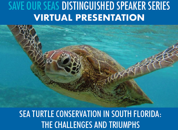 Read more about the article Save Our Seas Distinguished Speaker Series