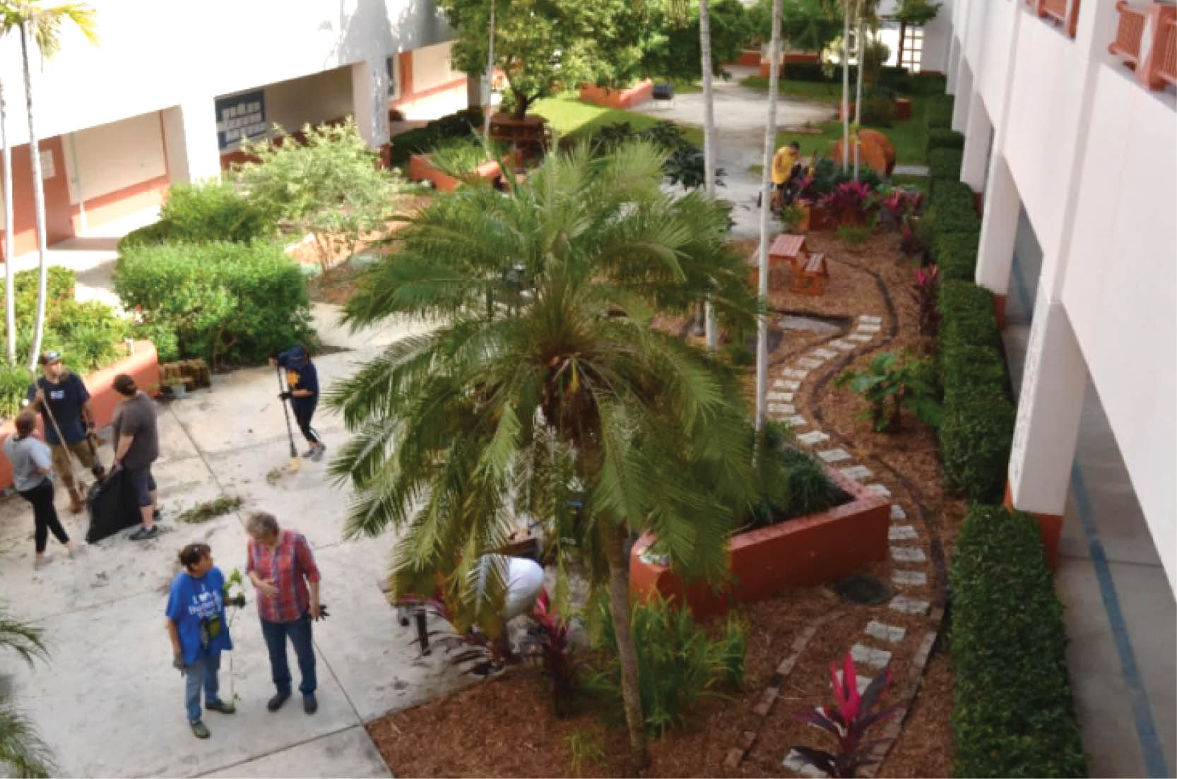Read more about the article Wilton Manors Elementary School Butterfly Garden