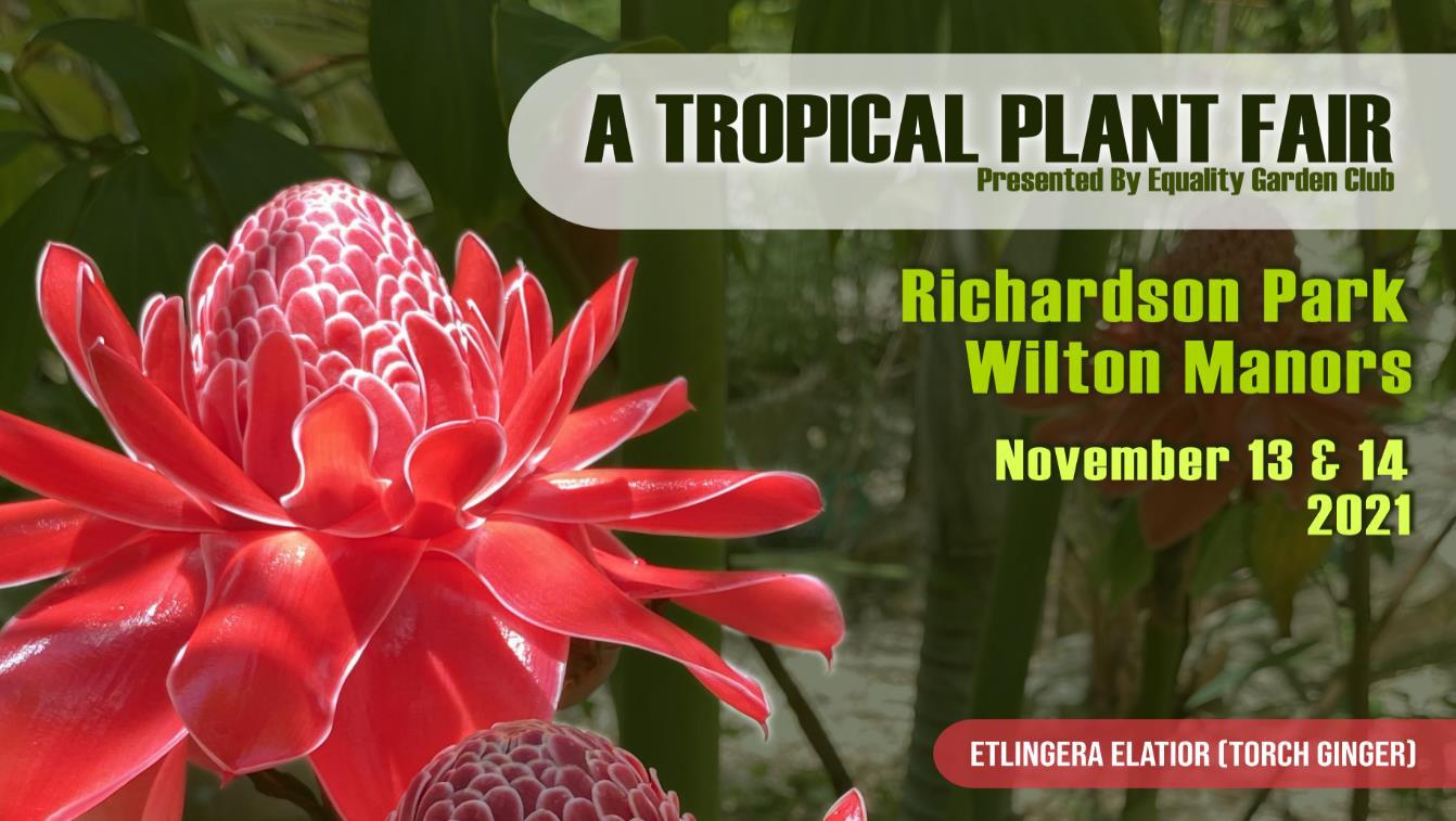 Read more about the article Equality Garden Club Delays Annual “A Tropical Plant Fair”