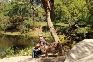 Read more about the article ‘Pup-ular’ Poochfests at Mounts