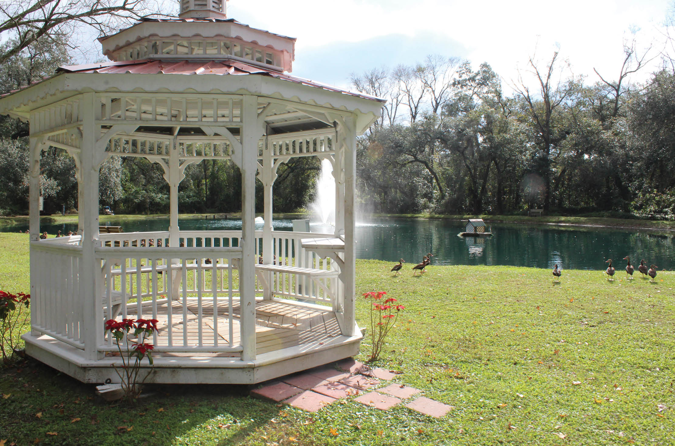 Read more about the article Sawmill Camping Resort