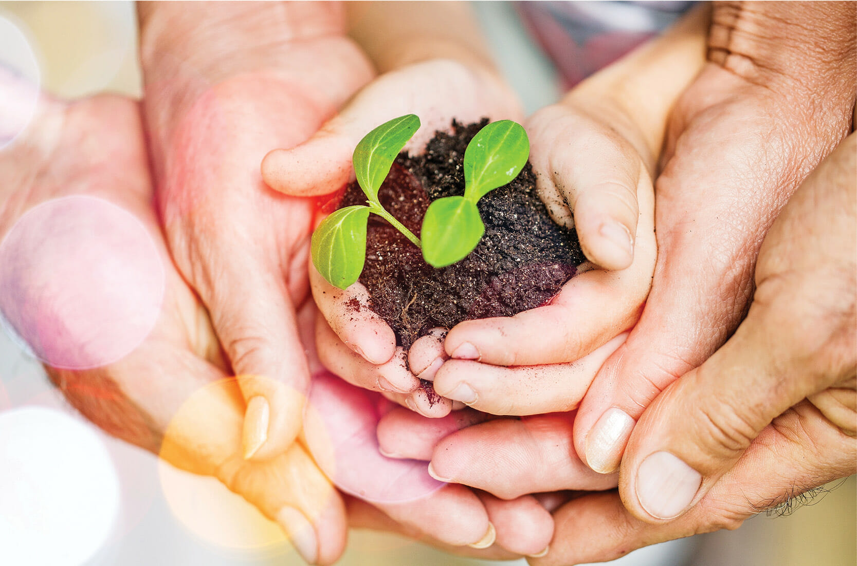 Read more about the article Support Social Impact Businesses: BBB4Good
