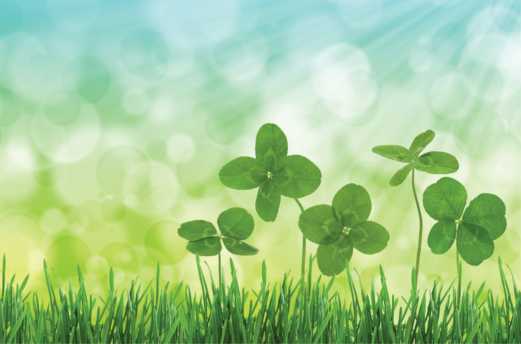 Read more about the article Feeling Lucky