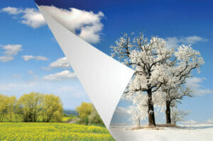 Read more about the article Spring Into Action