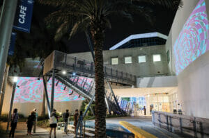 Read more about the article Light the Night