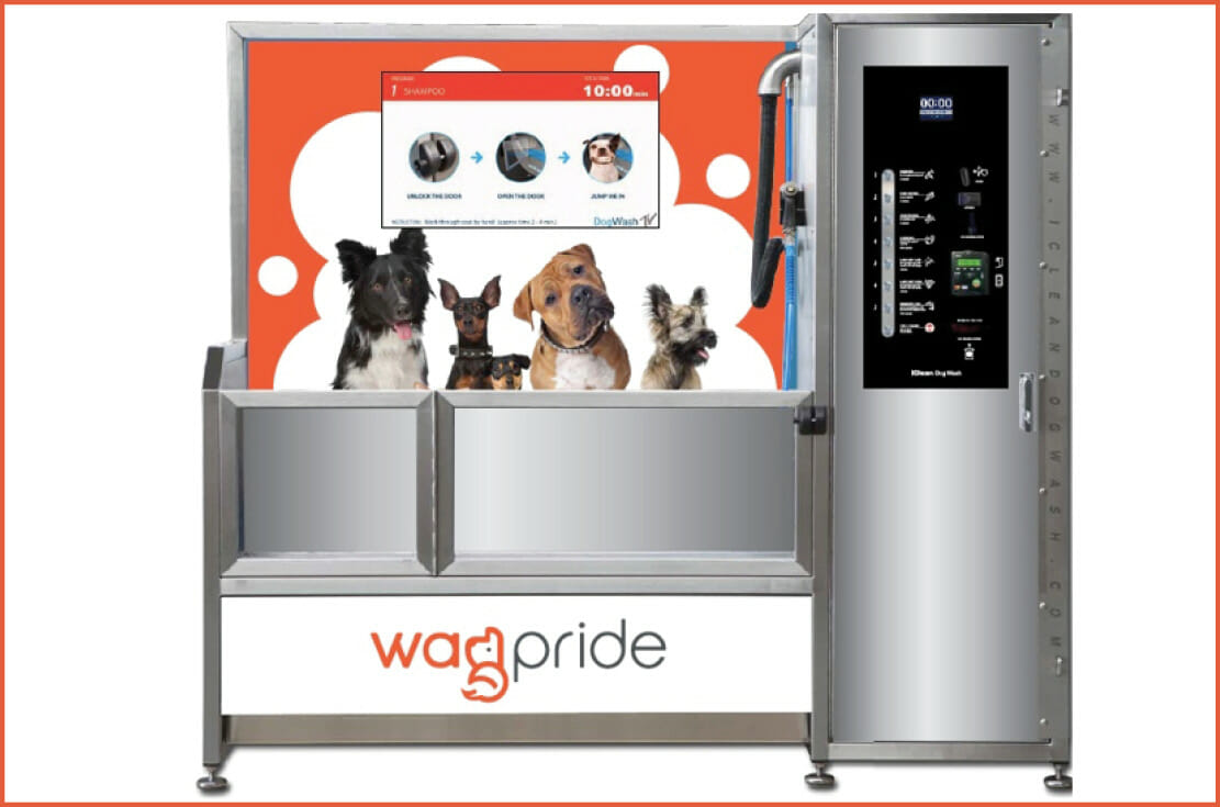 Read more about the article Pet Pride