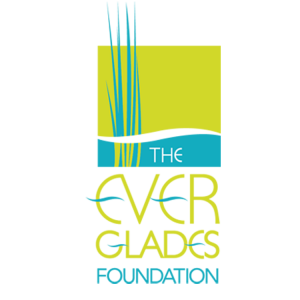 Read more about the article The Everglades Foundation and Museum of Discovery  and Science Unite to Expand Everglades Education in  Broward County