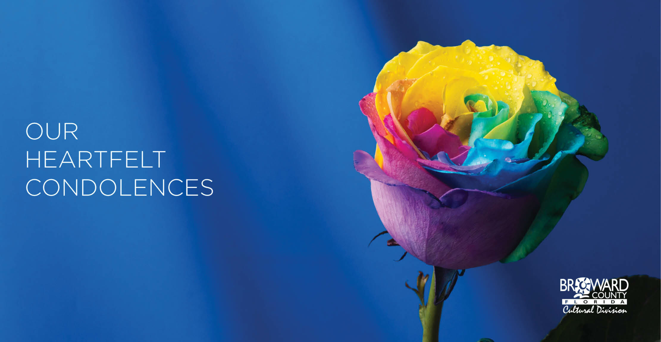 You are currently viewing Our Heartfelt Condolences