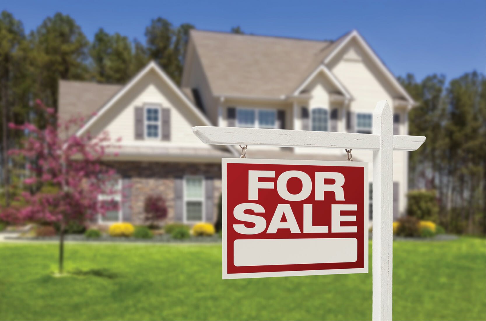 Read more about the article Home Selling Options