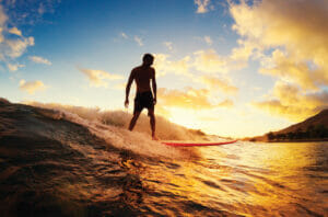 Read more about the article Ride the Wave