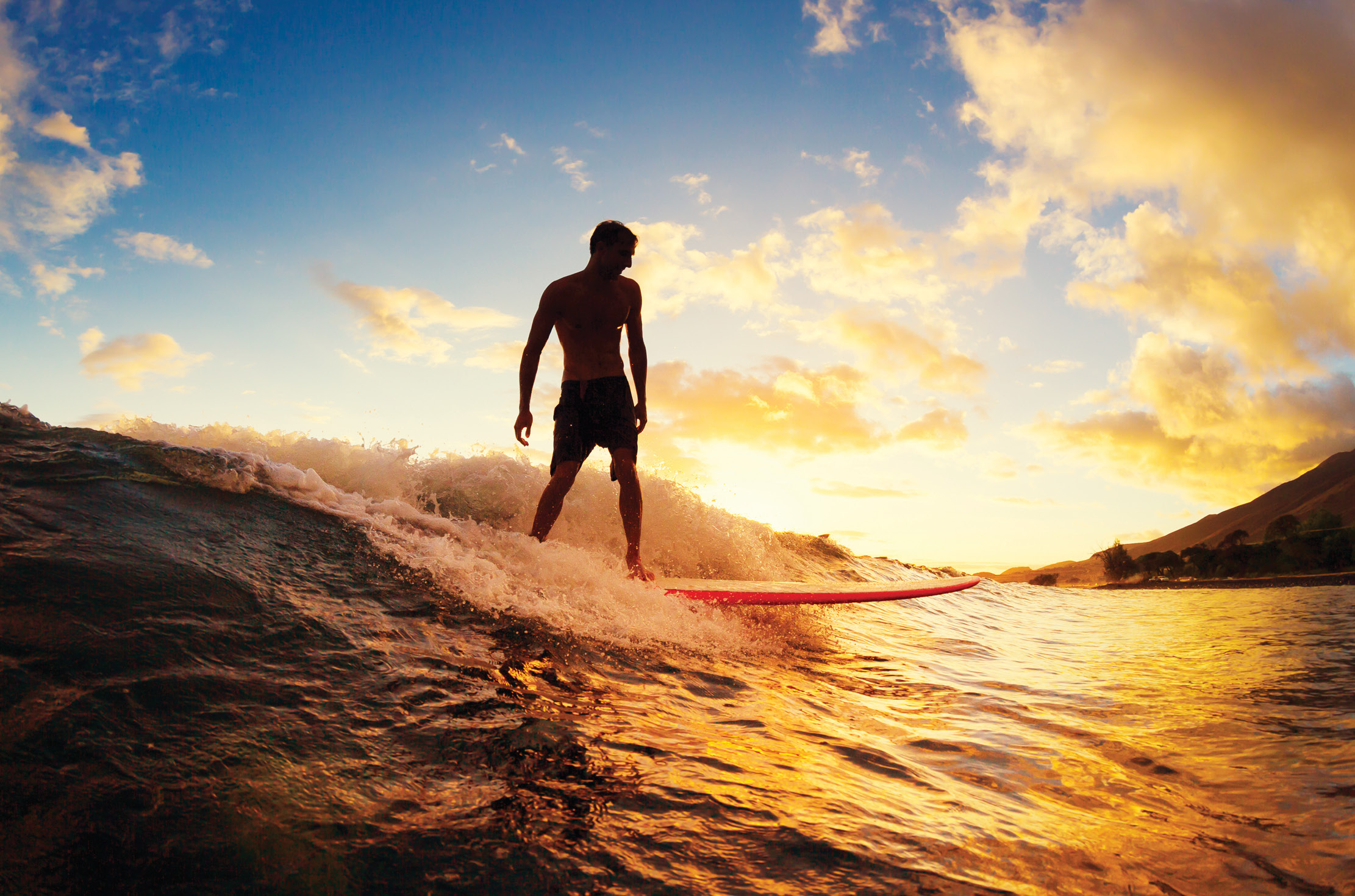 You are currently viewing Ride the Wave