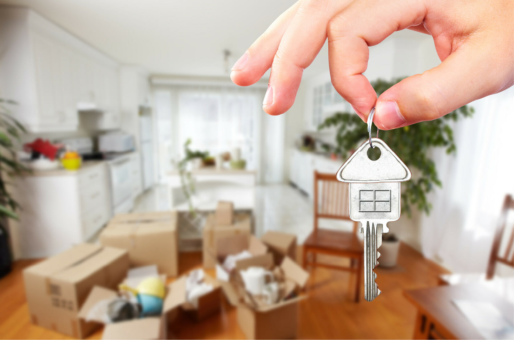 Read more about the article Navigating the Rental Process in 2022