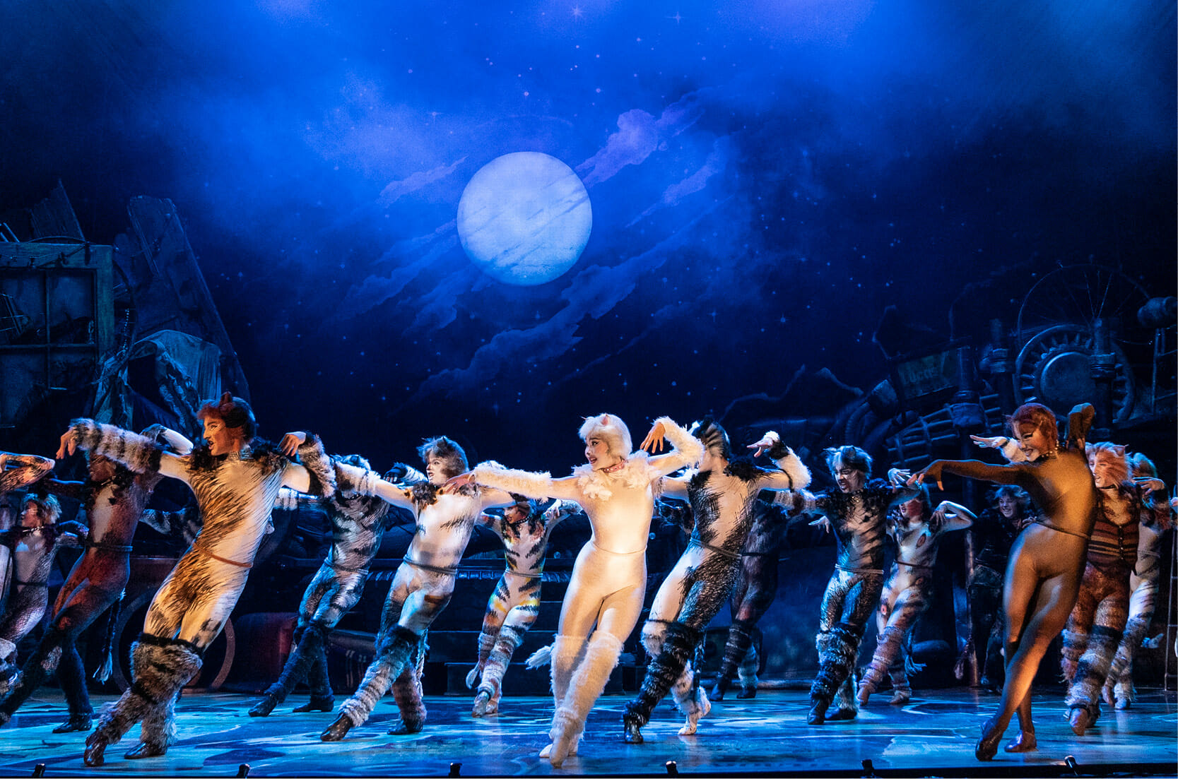 Read more about the article CATS Prowling Into Broward Center