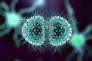 Read more about the article Protect Yourself from Meningococcal Disease