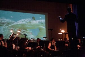 Symphony Concert Close Up Photo
