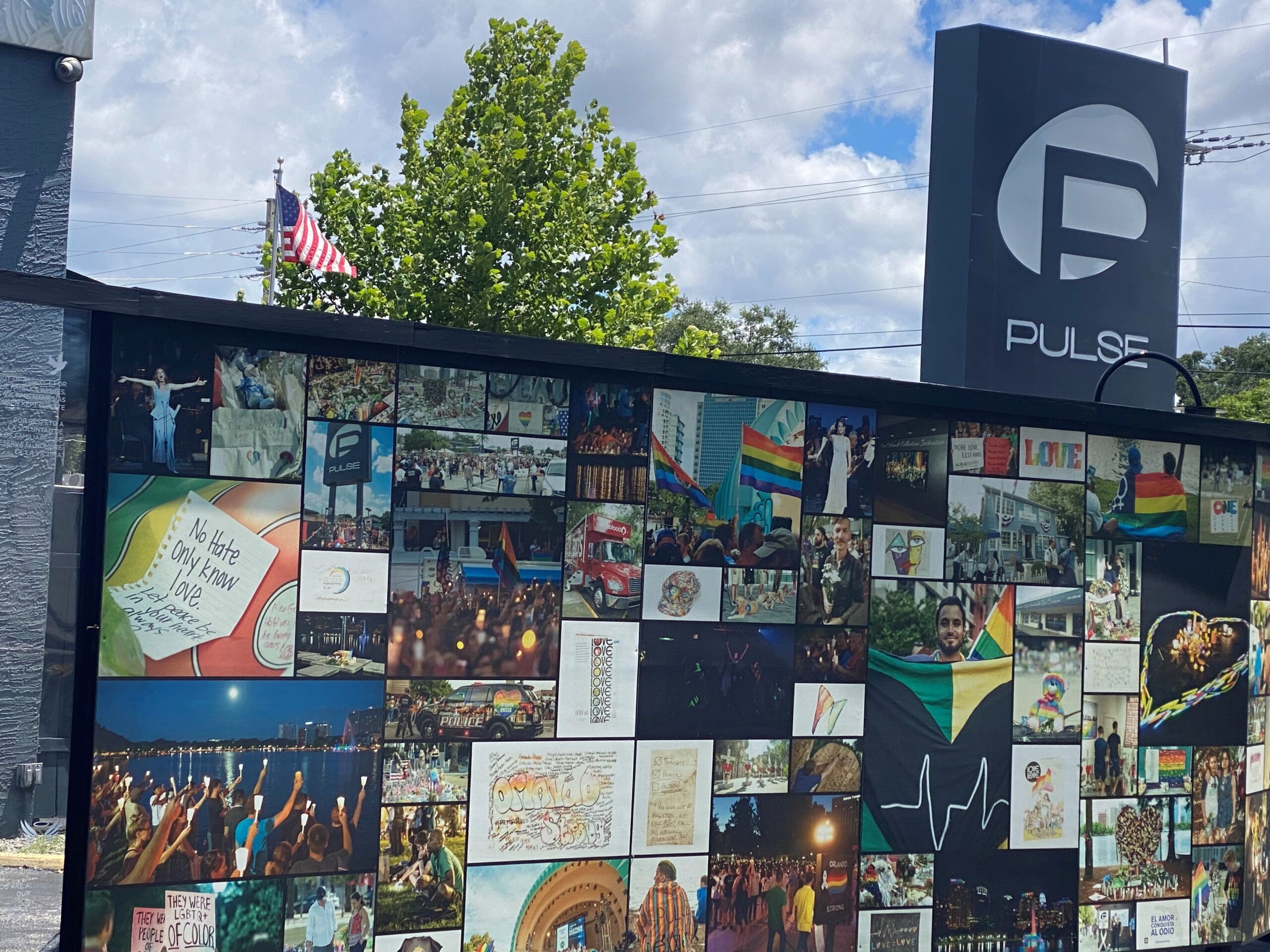 Pulse