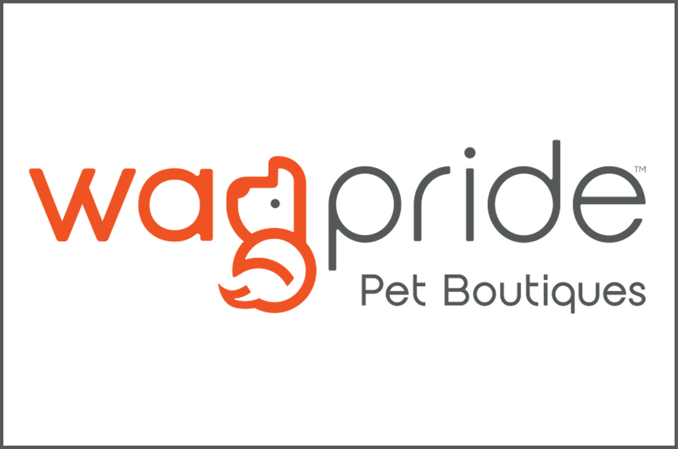 You are currently viewing A Pet Project