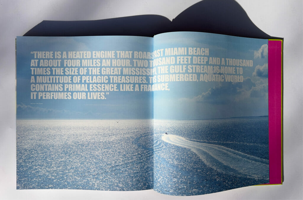 Excerpt image by Allesandro Sarno from ( Miami: Contemporary Visions from a Tropical Jungleland )