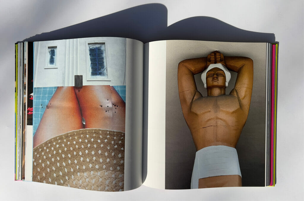 Excerpt image by Allesandro Sarno from ( Miami: Contemporary Visions from a Tropical Jungleland )