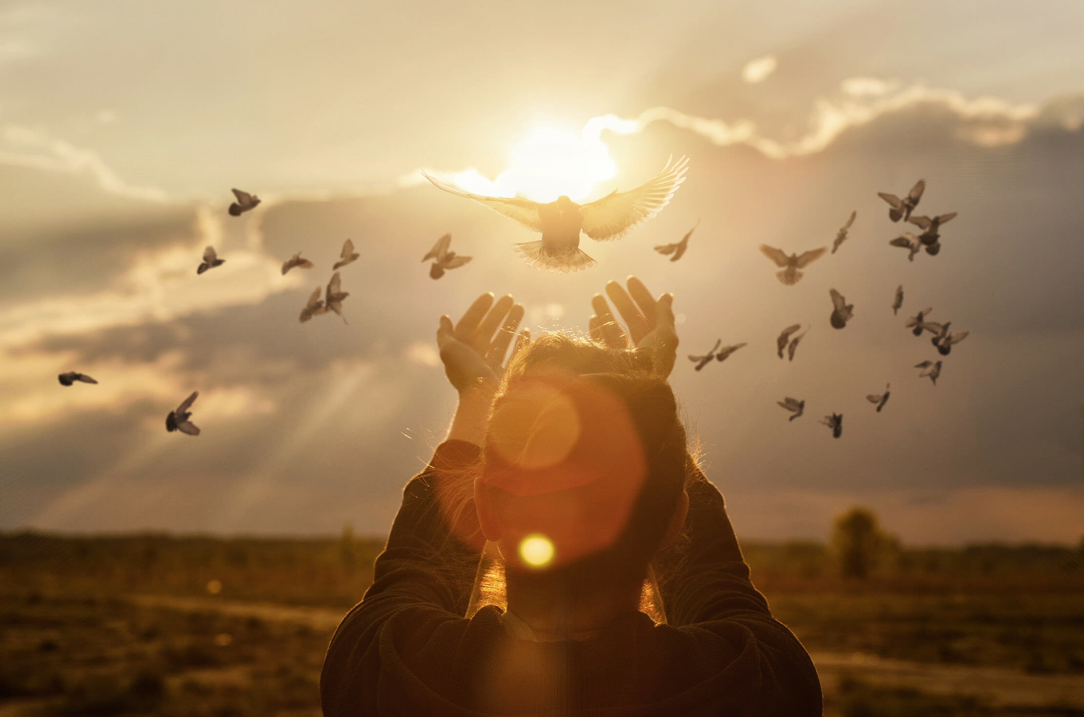 Read more about the article Peace in the Midst of a Storm¹