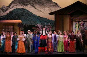 Read more about the article The Mikado