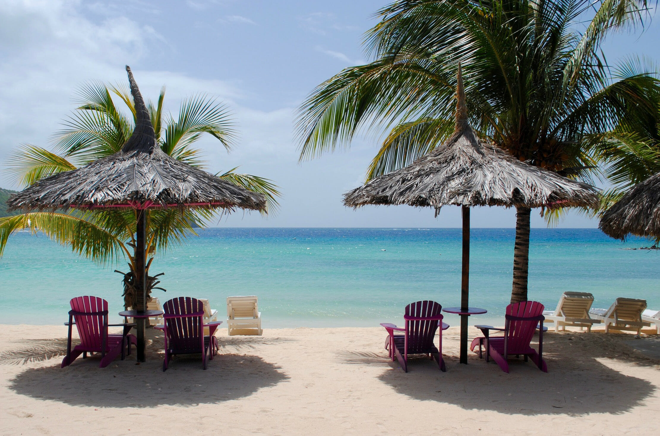 Read more about the article Oases in the Caribbean