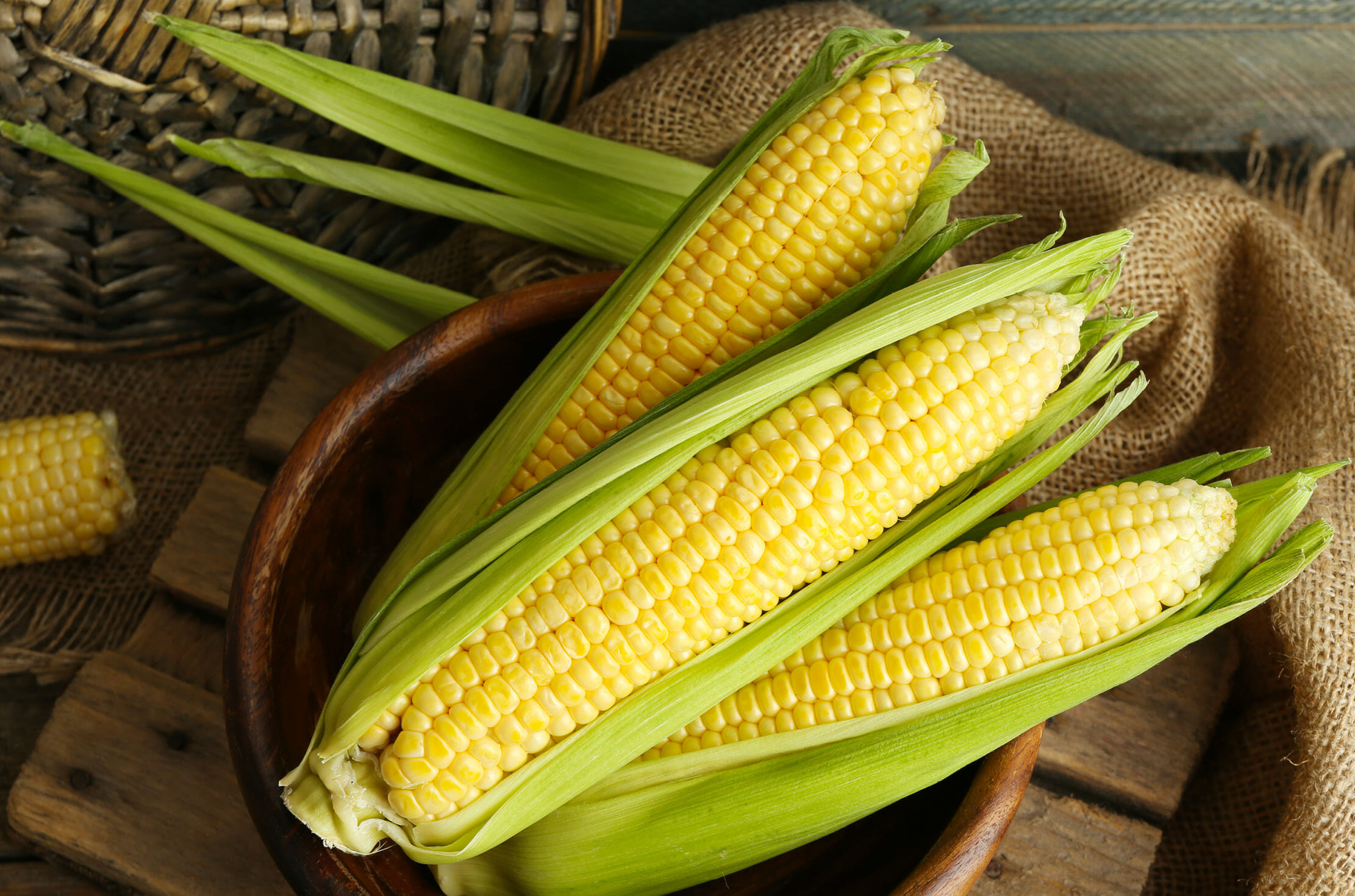 Read more about the article SWEET CORN FIESTA