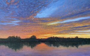 Read more about the article “Florida Everglades: River of Grass Reflections”