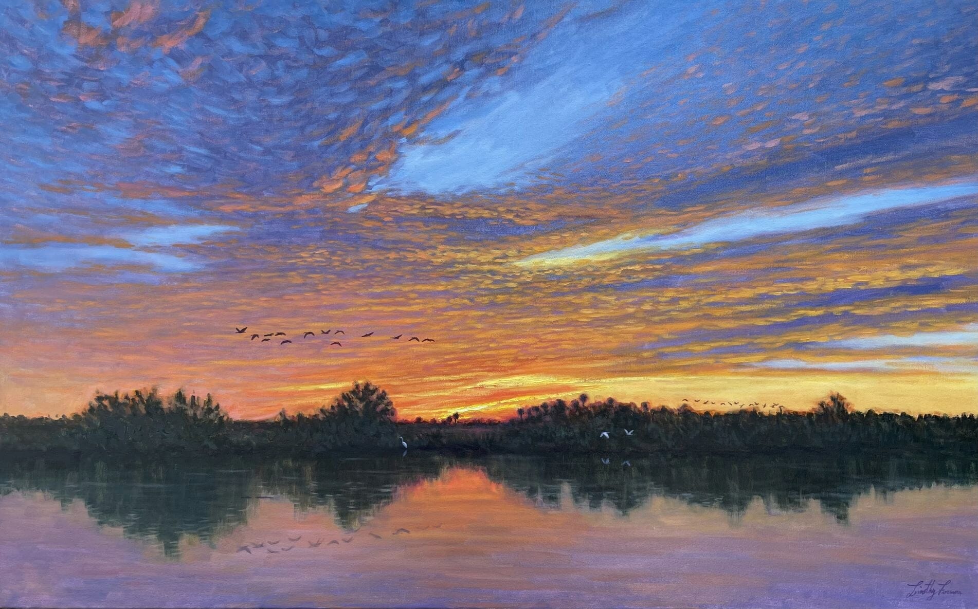 Read more about the article “Florida Everglades: River of Grass Reflections”
