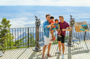 Read more about the article Visit Palm Springs