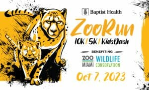 Read more about the article ZooRun 2023