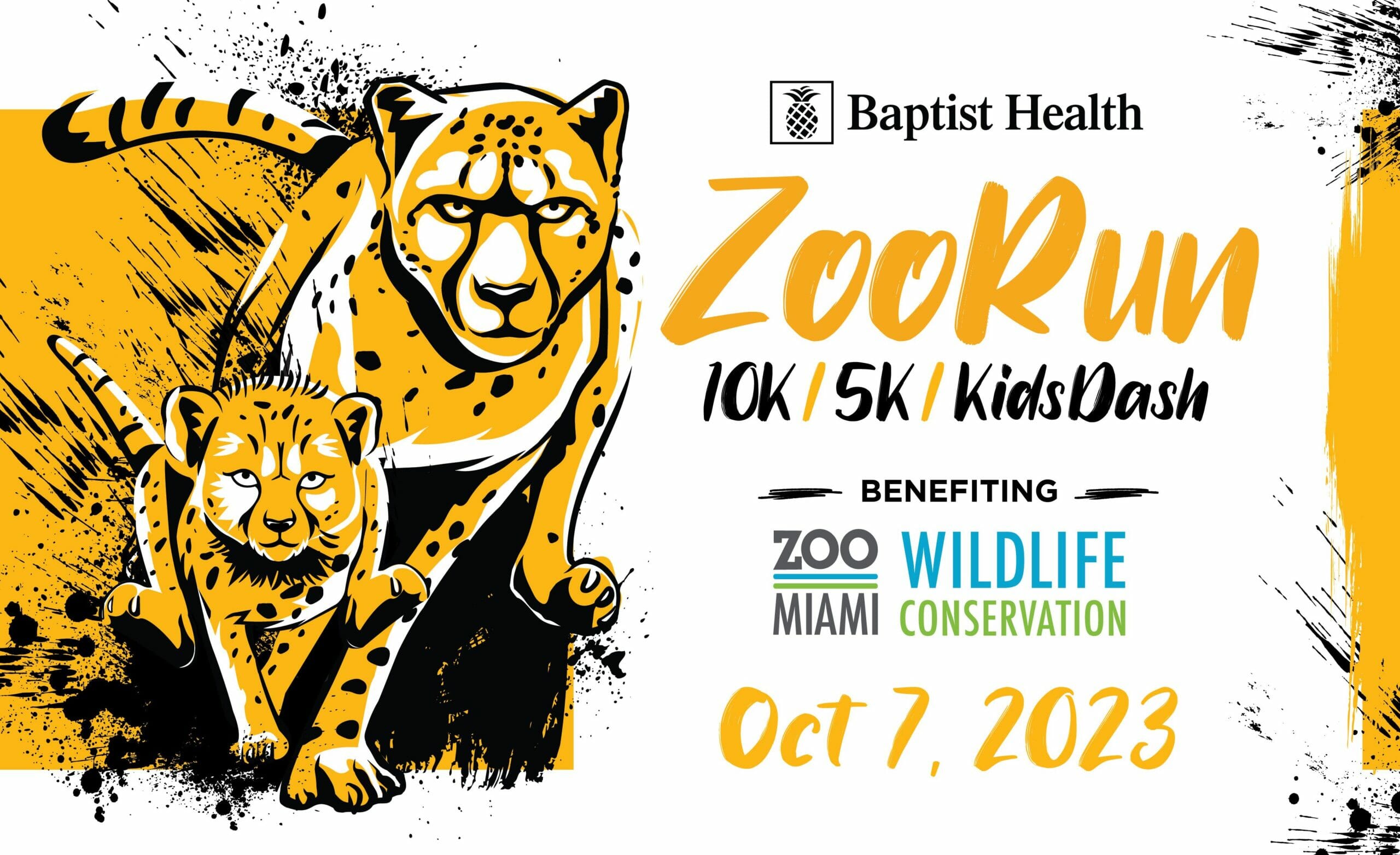 Read more about the article ZooRun 2023