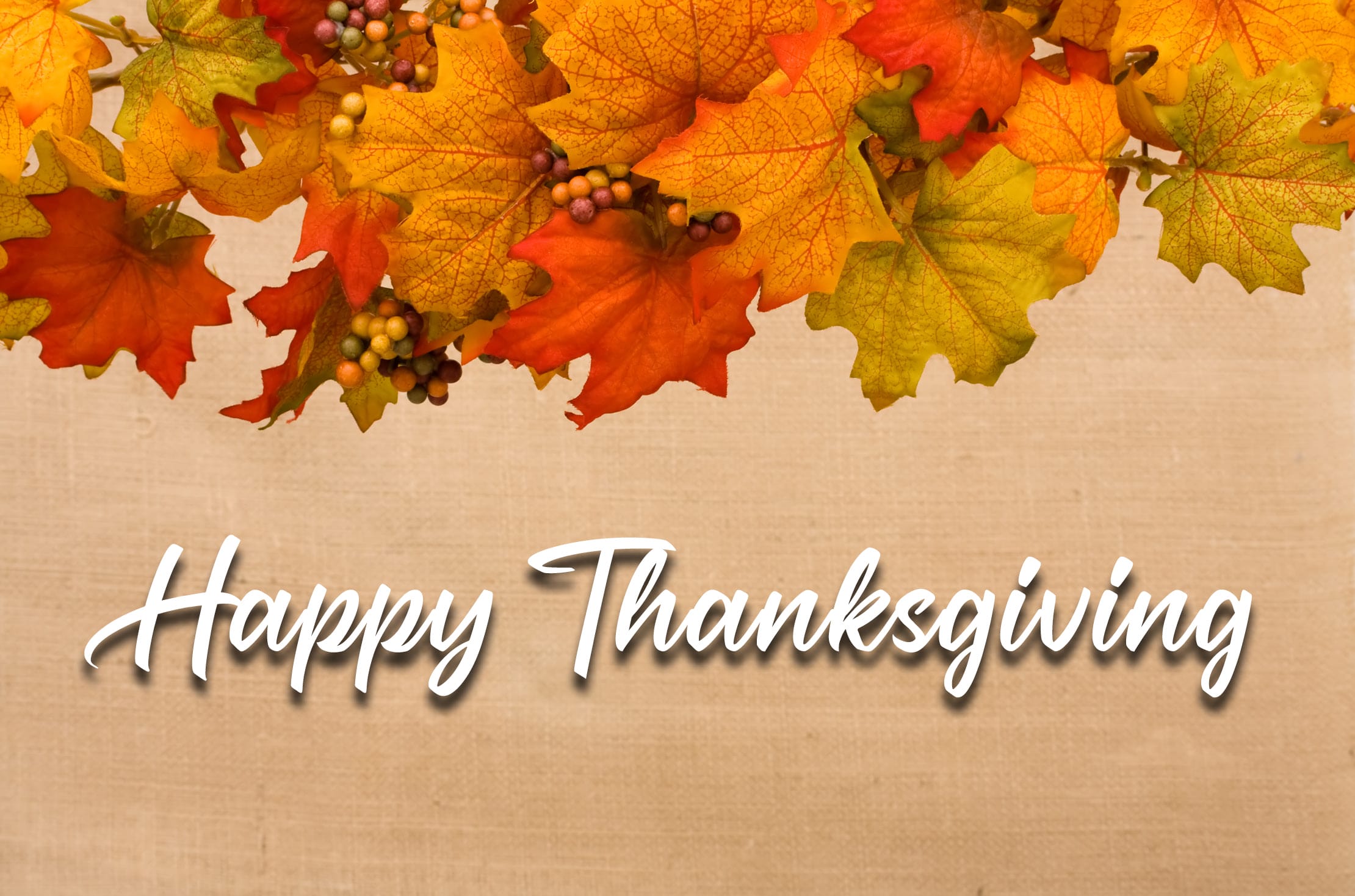 You are currently viewing Give Thanks
