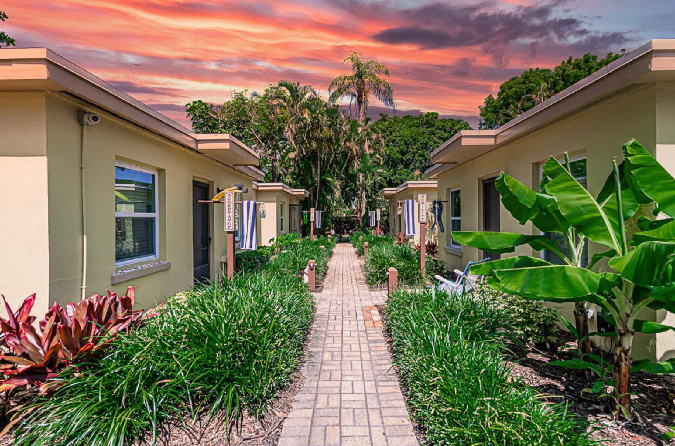 Read more about the article The Beachcomber – Changing Lives