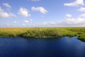 Read more about the article Fostering a Climate-Ready Workforce: MODS’ EcoExplorers Internship