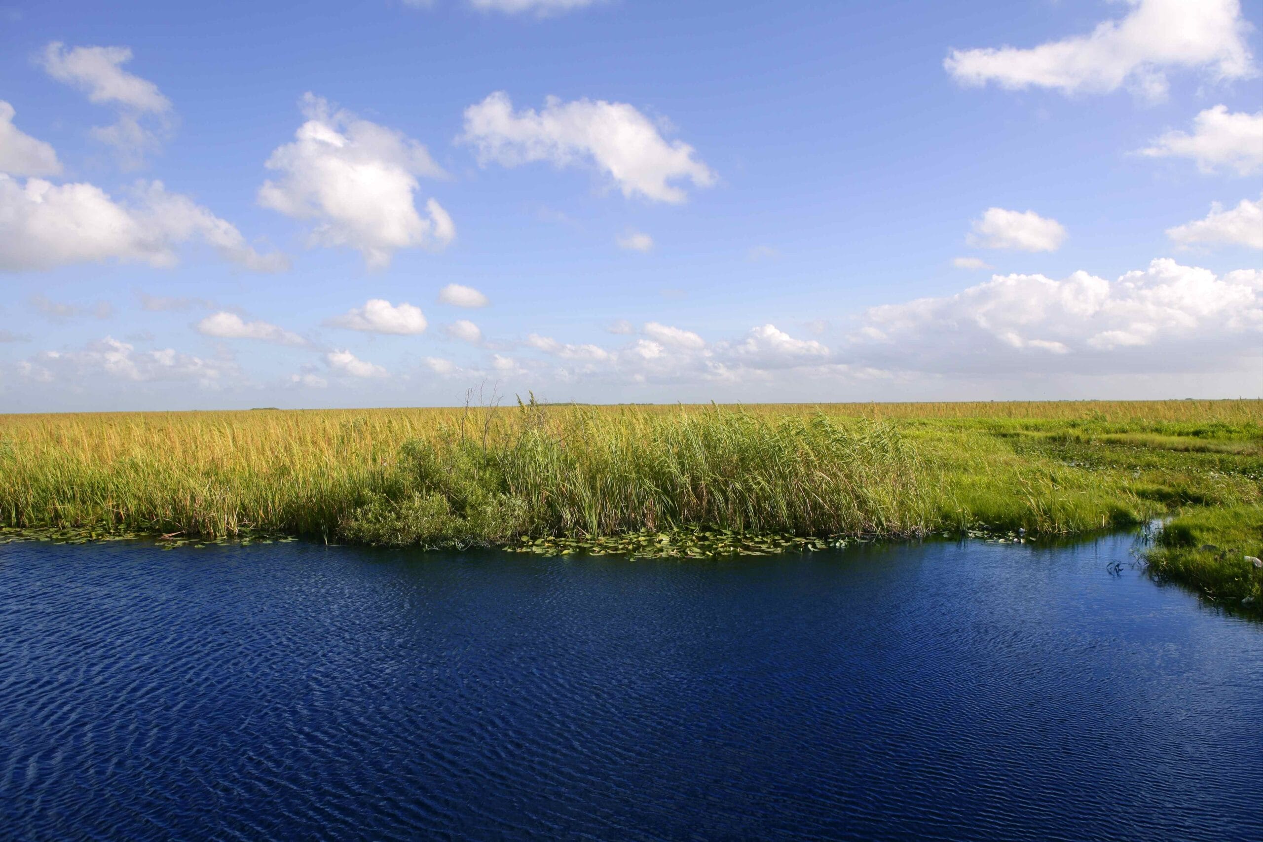 You are currently viewing Fostering a Climate-Ready Workforce: MODS’ EcoExplorers Internship