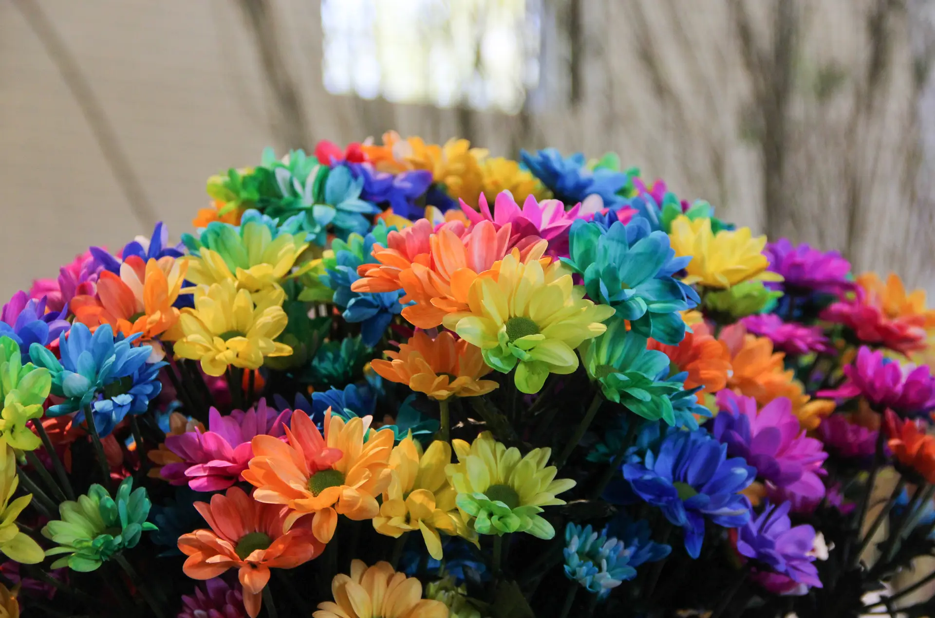 Read more about the article Spring has Sprung!