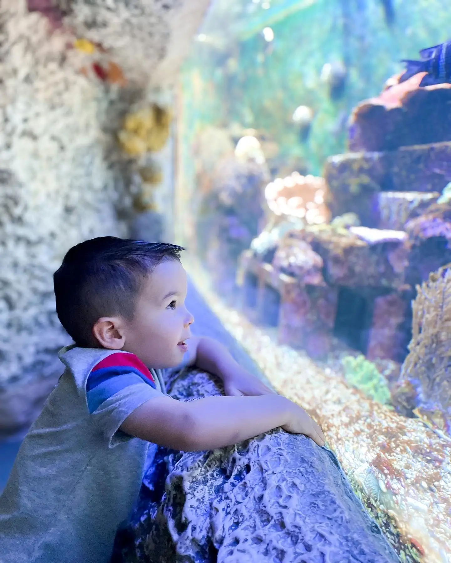 Read more about the article Museums Unite to Foster Climate Resilience Through Wonder