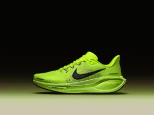shoe
