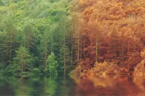 Read more about the article Celebrating September