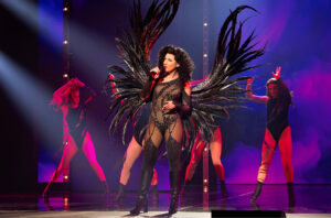 Read more about the article Tony Award-Winning Musical The Cher Show
